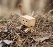 pic for Danbo 